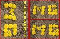 Bloesemrit 2017_ (320)